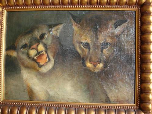 E. van den PANHUYSEN 1898 olie/doek tijgers panters leeuwen, Antiek en Kunst, Kunst | Schilderijen | Klassiek, Ophalen