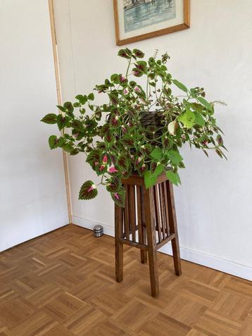 Houten plantenstaander beschikbaar voor biedingen
