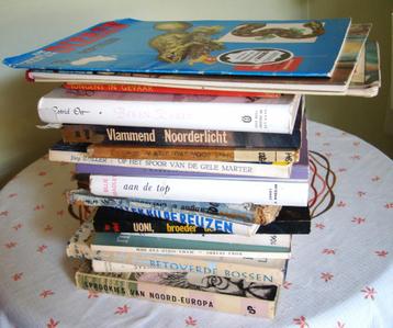 17 Nederlandstalige jeugdboeken - heel goede staat beschikbaar voor biedingen