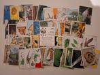 Panini 50 stickers WWF 1987, Verzamelen, Ophalen of Verzenden, Zo goed als nieuw, Dier en Natuur
