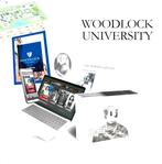 Detective Box moordmysterie spel - Woodlock University (ENG), Enlèvement ou Envoi, Comme neuf, Autres types