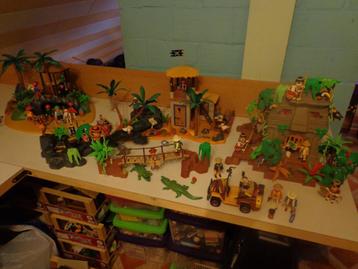 Playmobil jungle en piraten beschikbaar voor biedingen