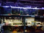 Aquarium stelling + aquarium, Ophalen, Gebruikt, Leeg aquarium