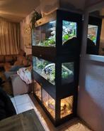 Osb3 terrarium RepHouSZ. Ook maatwerk, Animaux & Accessoires, Reptiles & Amphibiens | Accessoires, Terrarium ou Paludarium, Enlèvement ou Envoi