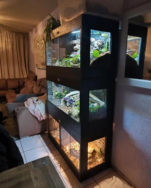 Osb3 terrarium RepHouSZ. Ook maatwerk, Dieren en Toebehoren, Reptielen en Amfibieën | Toebehoren, Nieuw, Terrarium of Paludarium