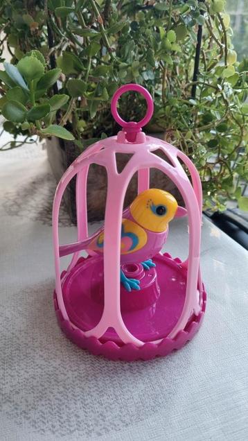 Digibird Juliet in kooi beschikbaar voor biedingen