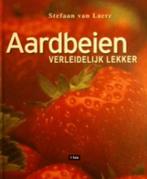 Aardbeien, Stefaan Van Laere, Enlèvement ou Envoi, Gâteau, Tarte, Pâtisserie et Desserts