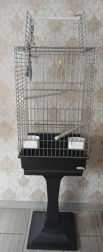 Grote vogelkooi te voet met complete accessoires beschikbaar voor biedingen