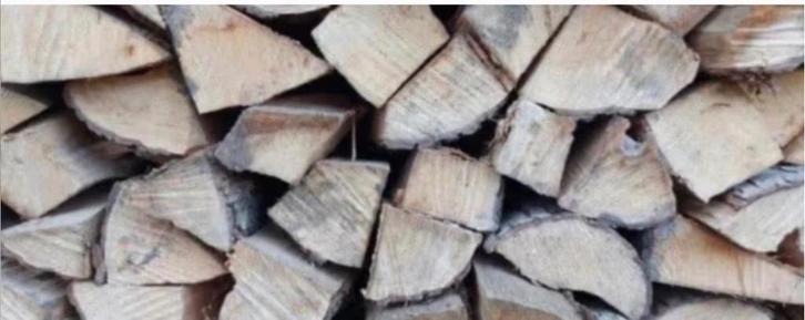 Elzenhout te koop, Tuin en Terras, Brandhout, Blokken, Elzenhout, 6 m³ of meer, Ophalen