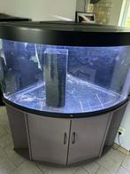 Juwel Trigon 350, Enlèvement, Utilisé, Aquarium vide