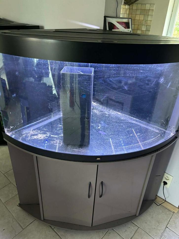 Juwel Trigon 350, Animaux & Accessoires, Poissons | Aquariums & Accessoires, Utilisé, Aquarium vide, Enlèvement