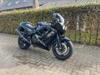 Triumph Daytona 1200, Motos, Motos | Triumph, Plus de 35 kW, 4 cylindres, 1200 cm³, Sport