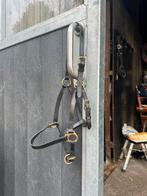 Lederen halster cob, Dieren en Toebehoren, Ophalen of Verzenden, Zo goed als nieuw