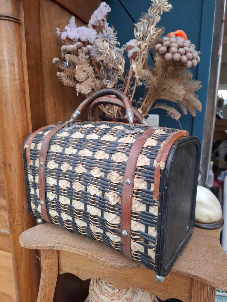 Valise à plateforme/panier à rails, Antiquités & Art, Enlèvement ou Envoi