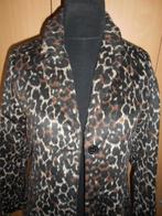 Nieuwe winterjas Trend One / Maat M, Trend One, Ophalen of Verzenden, Nieuw, Maat 38/40 (M)