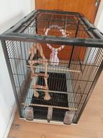 Grote kooi, Dieren en Toebehoren, Ophalen