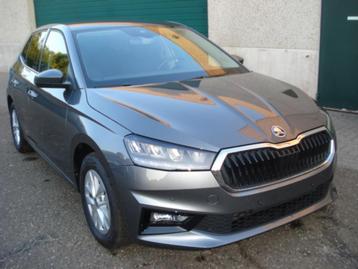 Skoda Fabia 1.0TSI 81KW 110PK Automaat beschikbaar voor biedingen