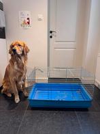 Transportbox knaagdieren, Dieren en Toebehoren, Transportboxen, Ophalen, Gebruikt