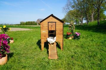 Trespa Kippenhok / Classic 2XL Op Pootjes - Cucciolotta beschikbaar voor biedingen