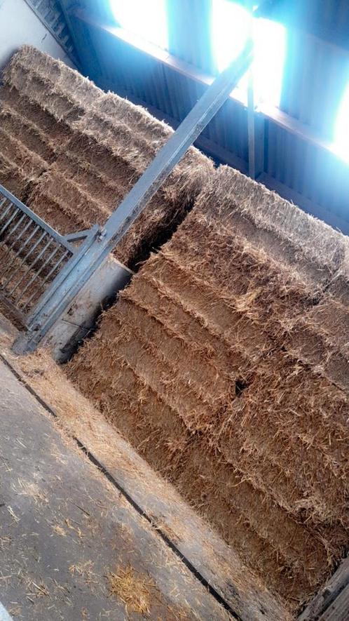 Stro maisbalen voordroog hooi, Zakelijke goederen, Landbouw | Veevoer, Ophalen