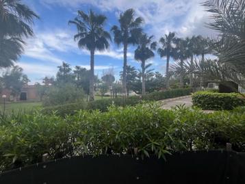 San Michuel Torrevieja UFF 650 beschikbaar voor biedingen