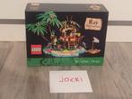 40566 LEGO Ideas Ray the Castaway (NIEUW), Kinderen en Baby's, Ophalen of Verzenden, Nieuw, Complete set, Lego
