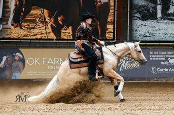 Te koop super fijne 4 jarige AQHA & APHA merrie, Moins de 160 cm, Cheval western, Vermifugé, Jument