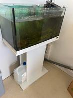 Ferplast Capri 60 60l Aquarium, Dieren en Toebehoren, Ophalen, Gebruikt