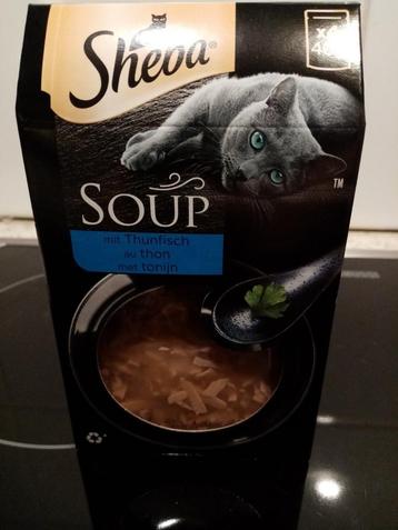 Sheba soep, Enlèvement, Chat