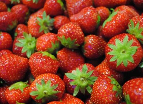 50 Mara des Bois aardbeienzaden, Tuin en Terras, Bloembollen en Zaden, Ophalen of Verzenden