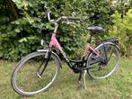 Studentenfiets Dames te koop, Fietsen en Brommers, Gebruikt, 47 tot 50 cm, Versnellingen, Ophalen