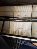 Tentoonstelling  kooien, Ophalen