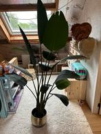 Mooie valse plant 2m hoog, Ophalen of Verzenden, Zo goed als nieuw