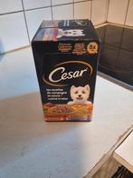 4 dozen cesar hondenvoeding,, Dieren en Toebehoren, Ophalen of Verzenden