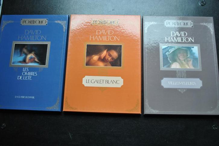 DAVID HAMILTON LE GALET BLANC FILLES-FLEURS OMBRES DE L'ETE, Livres, Art & Culture | Photographie & Design, Utilisé, Photographes