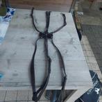 Martingaal Dy'on, Dieren en Toebehoren, Ophalen of Verzenden, Zo goed als nieuw, Springen