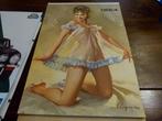 vintage pin up kalender 1964  Elvgren, Verzamelen, Ophalen, Huis en Inrichting