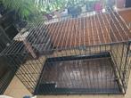 Cage xxl pliante pour chiens, Enlèvement