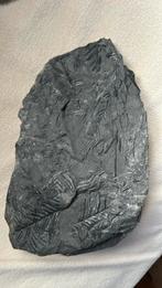 Varen, Verzamelen, Mineralen en Fossielen, Ophalen of Verzenden