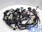 kabelboom voor de Yamaha FJR 1300 2005 - 2006 FJR1300 5JW dr, Motoren, Onderdelen | Yamaha, Ophalen of Verzenden, Gebruikt