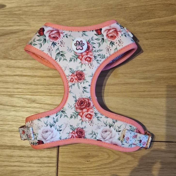 Harnas / Tuigje Paw My God! Roosjes S, Dieren en Toebehoren, Hondenhalsbanden en Penningen, Nieuw, Ophalen of Verzenden