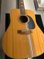 Ibanez concord 12 string 628.12 1974, Ophalen, Zo goed als nieuw