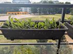 Bloempotten met houder/ Bloembak met houder/plantenbak, Ophalen, Gebruikt
