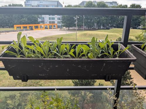 Bloempotten met houder/ Bloembak met houder/plantenbak, Tuin en Terras, Bloempotten, Gebruikt, Ophalen