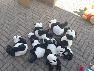 Verzameling pandas, Enlèvement