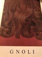 Domenico Gnoli Peintures Sculptures 60pag, Ophalen of Verzenden, Zo goed als nieuw, Schilder- en Tekenkunst