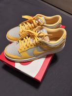 Nike dunk RETRO nieuw maat 43, Kleding | Heren, Schoenen, Overige kleuren, Nike, Nieuw, Ophalen of Verzenden