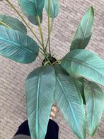 Fake staanplant, Ophalen, Gebruikt, Binnen