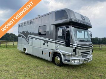Iveco Eurocargo 7.5T 3-paards paardenvrachtwagen LIVING Marg beschikbaar voor biedingen