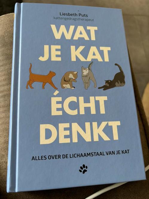 Liesbeth Puts - Wat je kat écht denkt, Livres, Animaux & Animaux domestiques, Comme neuf, Enlèvement